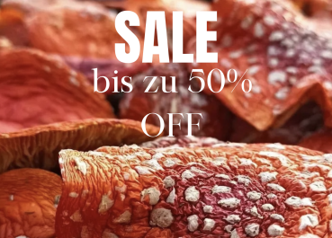 Abverkauf Saison 2024 Fliegenpilzhüte Sibirien (Amanita Muscaria)